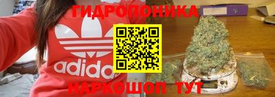 крисы Изобильный
