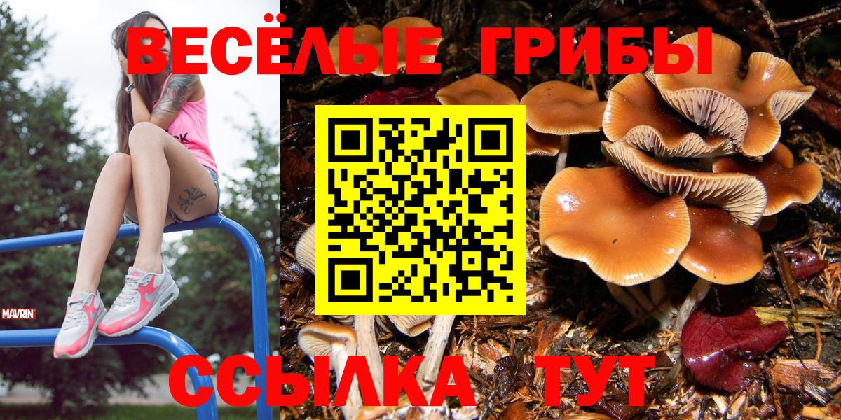 Майкоп  Псилоцибиновые грибы MAGIC MUSHROOMS  Вход с VPN  Галлюциногенные грибы MAGIC MUSHROOMS 