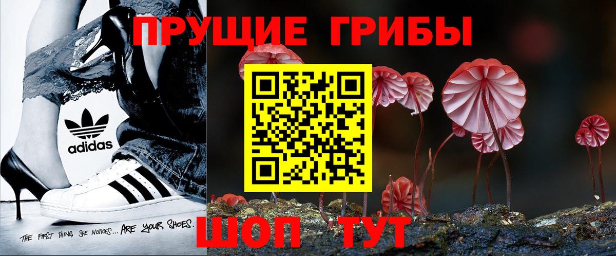 Псилоцибиновые грибы Psilocybine cubensis Майкоп